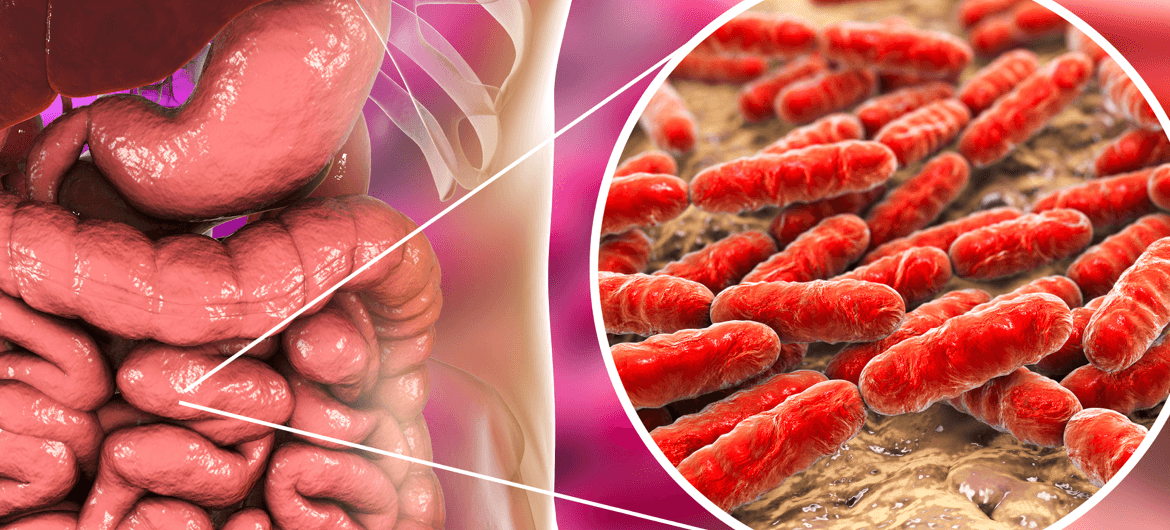 Microbiota intestinale e tiroide